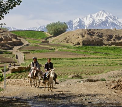 Bound for Market – Afghanistan